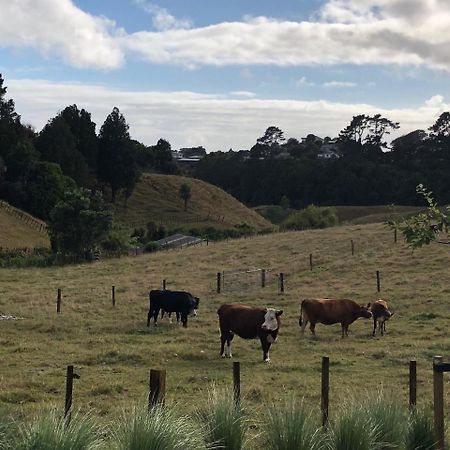 Pukeko Lodge Bnb New Plymouth Exterior foto