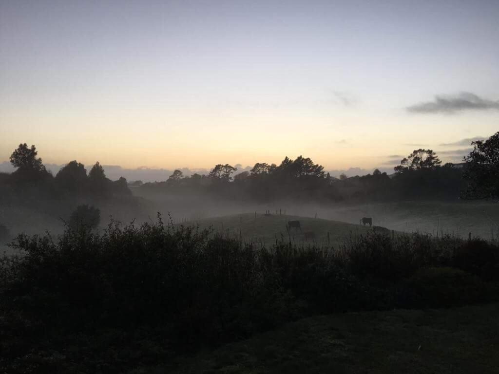 Pukeko Lodge Bnb New Plymouth Exterior foto